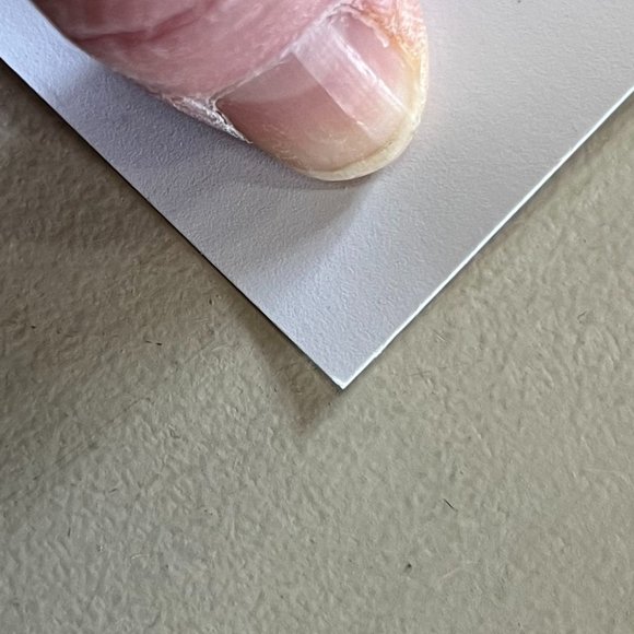 MINT/NM Jethro Tull 2007 Macrae Rare Limited Edition Signed & Numbered 22” x 17” - Picture 5 of 8